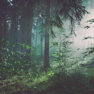 把男生的鸡鸡放到女生的屁股日本
